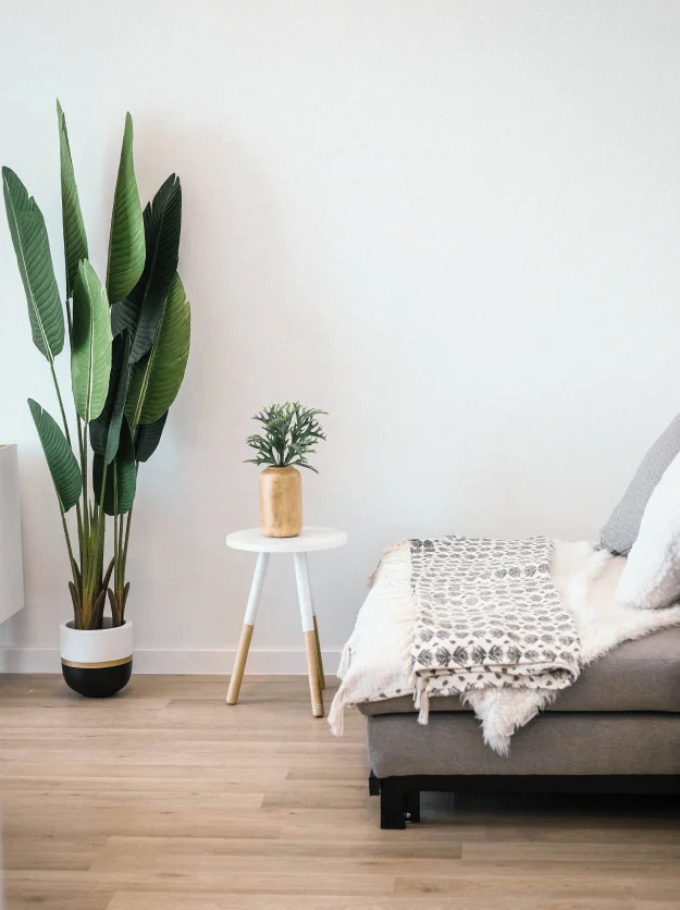 A couch with small side table and a big houseplant